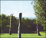 Langenhoe Primary school - playground