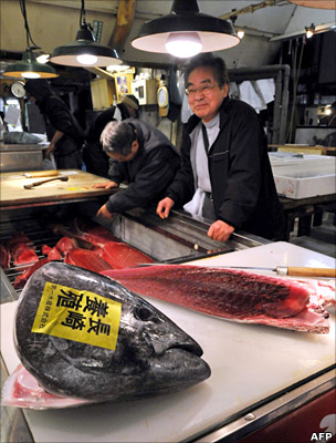 Tuna in fish market