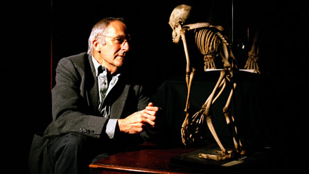 Steve Jones - Talking Evolution by Tom Pope.