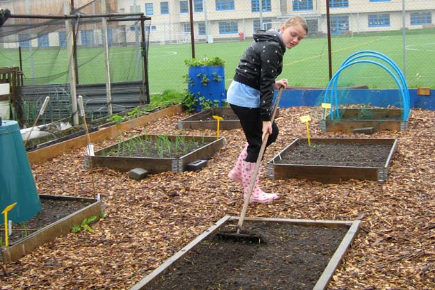Raking soil