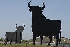 Representation of a bull