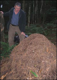 Albin Smith with the huge anthill