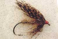 Pluen Rhew Ifan Rhen Gerrig