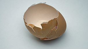 Eggshell