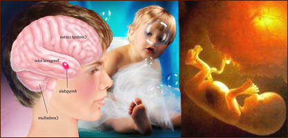 عقب مانی ذهنی 