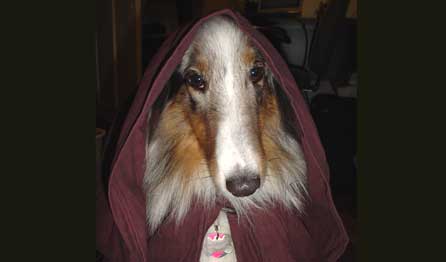 Sarah Jessica Parker