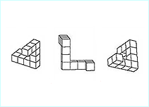 An image from the Sex ID survey