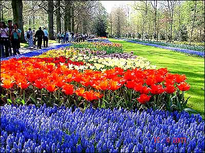 بهار در هلند