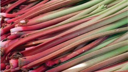 Rhubarb