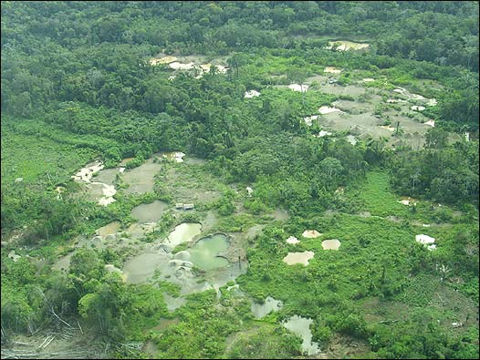 Efectos de la minería informal en Madre de Dios