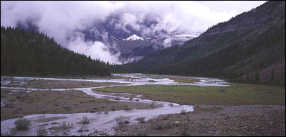 زيمناکې ځمکې