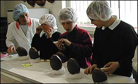 The kids paint their own eggs