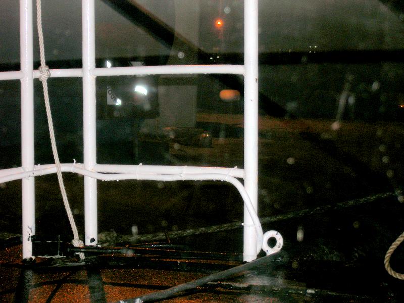 Otter on Lerwick Quayside