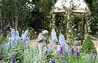 A Midsummer Night's Dream