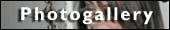 Gallery link