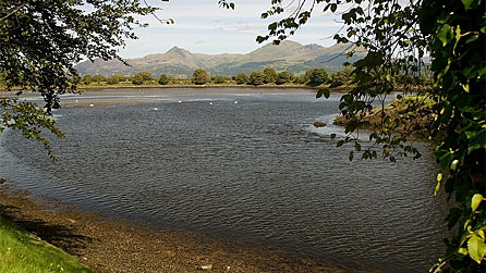 Porthmadog Cob by Cilmeri