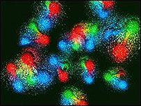 Representação artística dos quarks