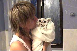 image: birthday cake