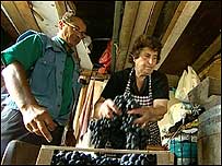 Wine making in Bedford