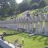 Graves in Aberfan Cemetary
