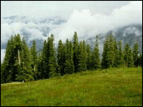 قابل کاشت اراضی 