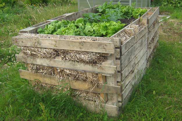 Raised bed