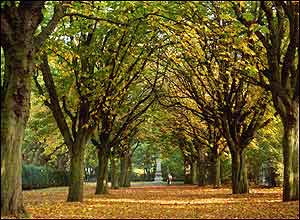 عکس از کامليا مرادی