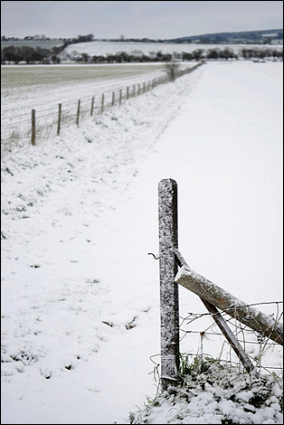 Eastbrook Organic Pig farm