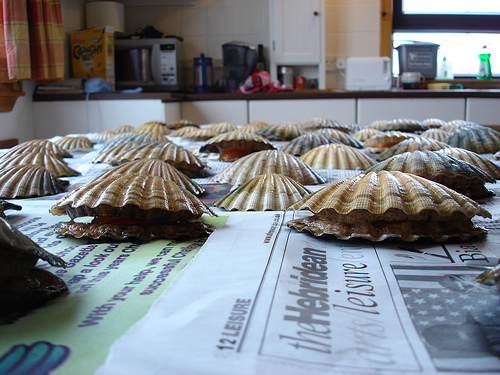 Invaders from another planet