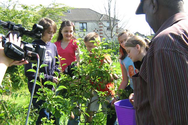 Filming the harvest