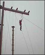 tom dangles from mast