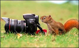 Squirrel and camera taken by Jenny Cooper