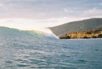 bottlebanks lineup shot - dave
