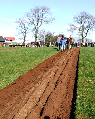 Euan McIlwraith works hard during the ploughing match