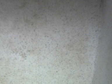 Webcam at the Birmingham Nature Centre