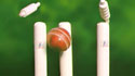 Cricket