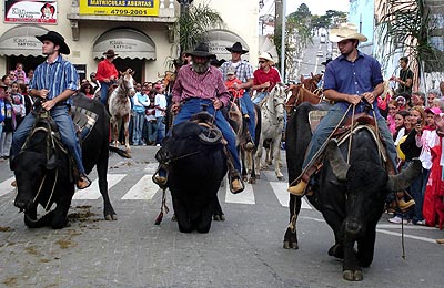 Palm Heart Entrance.