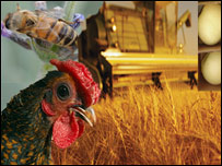 "طلا در خاک"