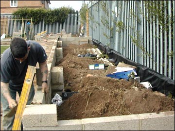 The raised bed
