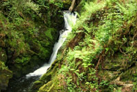 Pont Llam yr Ewig, Brithdir