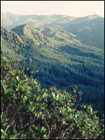 The Coromondel Peninsula