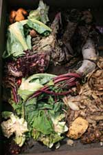 compost waste