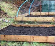 Raised beds for gardening, Lochgoilhead. Photo courtesy of Michael Duignan.