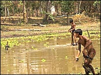ماشومان د لامبو پر مهال