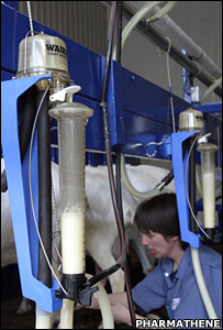 Foto de divulgação