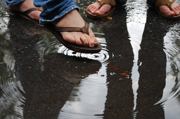 Shannon Brady's photo of water