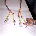 The pull rigs used for mutual suspension