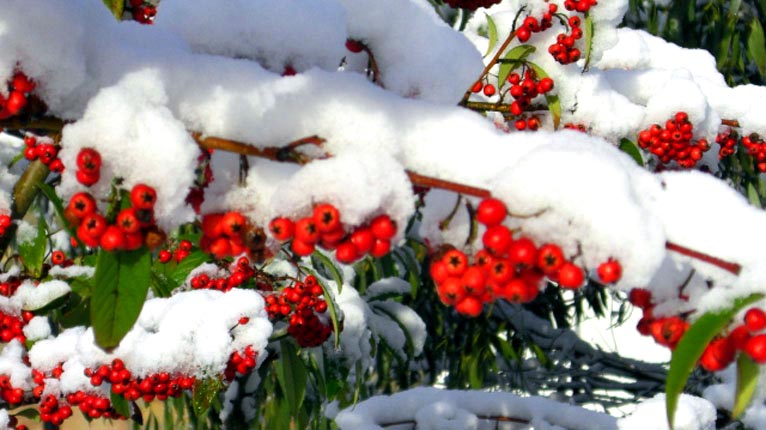 Inbhir Nis san t-sneachda