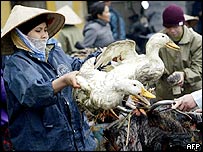 Chợ Việt Nam tháng 2/2005