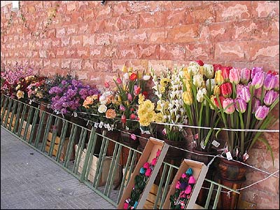 خریدهای نوروزی